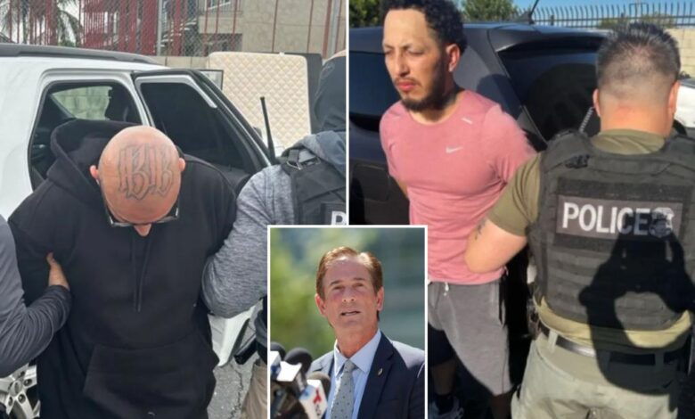 Los Angeles DA Nathan Hochman promises crackdown on illegal immigrants Los Angeles DA Nathan Hochman promises crackdown on illegal immigrants
