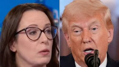 Maggie Haberman Knocks Trump For Putting On A ‘Front’ With This Wild Price Fantasy