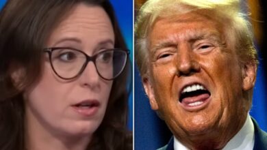 Maggie Haberman Spots Trump Supporter Revolt In Most Surprising Place