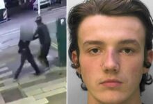 Man snatches woman off street at random caught on video