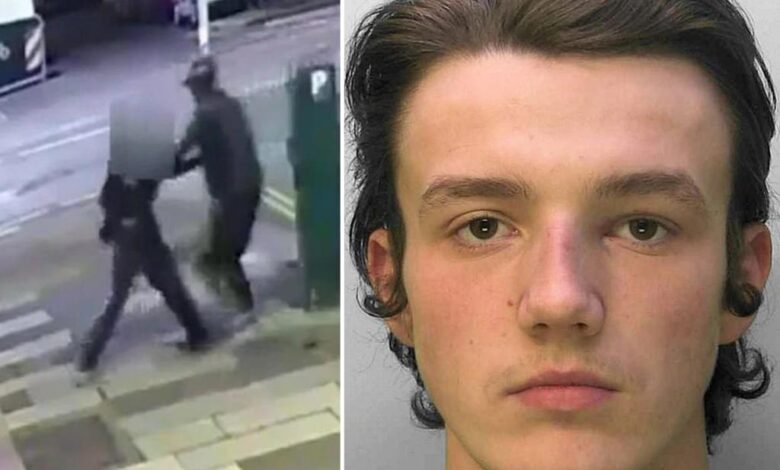 Man snatches woman off street at random caught on video Man snatches woman off street at random caught on video