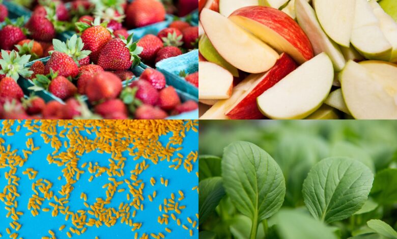 Midlife intakes of high-quality carbohydrates and dietary fiber linked to better health in older women Midlife intakes of high-quality carbohydrates and dietary fiber linked to better health in older women