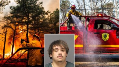 NJ teens accused of setting Jones Road Wildfire told cops Mexicans started it