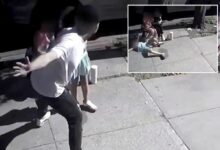 NYC brute Feliz Enrique slaps 9-year-old Queens girl, bites NYPD sergeant’s fingertip off: