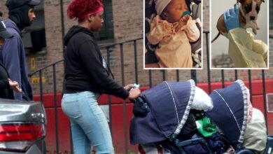 NYC newborn’s family claims she died from SIDS after ME confirmed pit bull wasn’t culprit