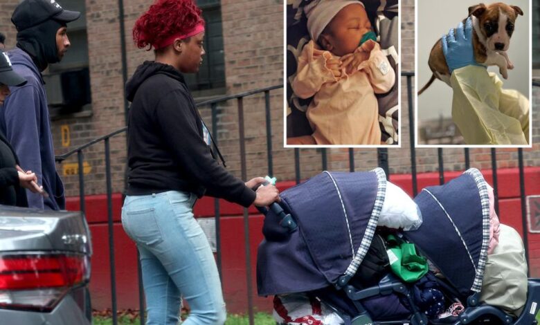 NYC newborn’s family claims she died from SIDS after ME confirmed pit bull wasn’t culprit NYC newborn’s family claims she died from SIDS after ME confirmed pit bull wasn’t culprit
