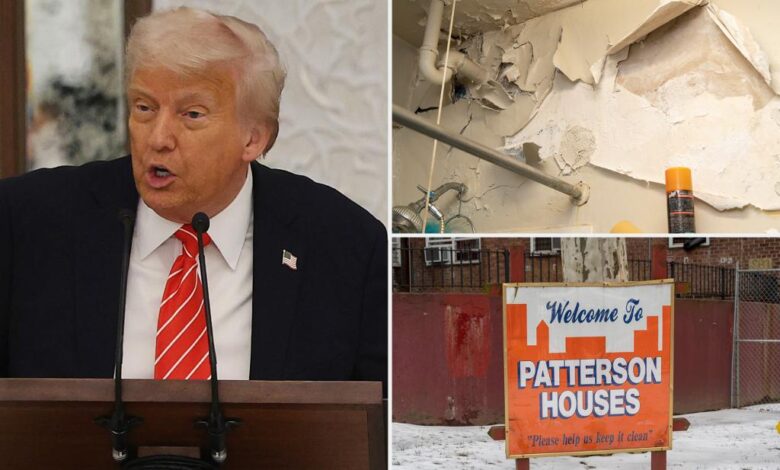 NYC’s public housing funding could be slashed by half as local Dems call Trump admin ‘reckless’ NYC’s public housing funding could be slashed by half as local Dems call Trump admin ‘reckless’