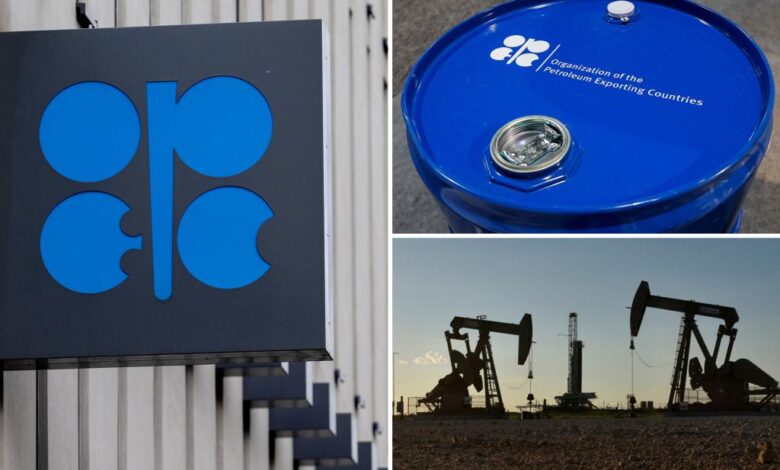OPEC+ to further speed up oil output hikes, sources say OPEC+ to further speed up oil output hikes, sources say