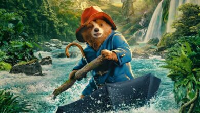 Paddington in Peru VOD, Streaming and DVD Release Dates