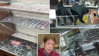 Pair of hammer-wielding, masked crooks steal thousands of dollars worth of Pokémon cards from 2 Detroit-area stores