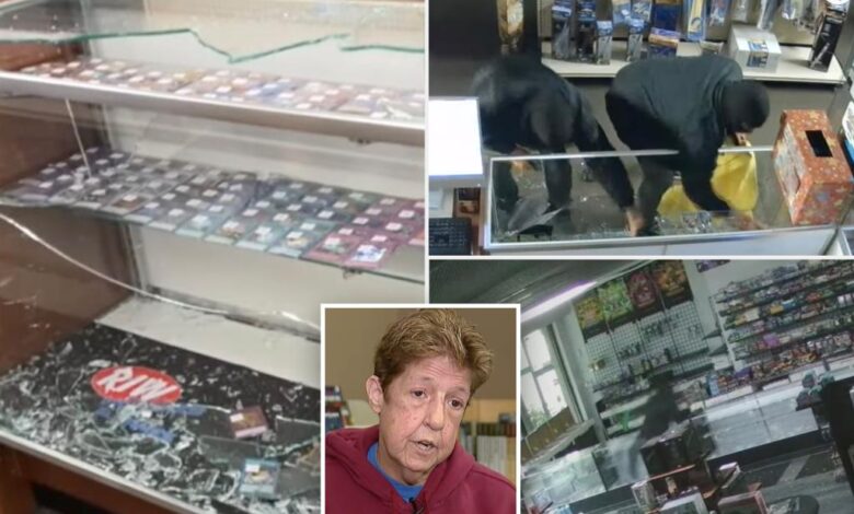 Pair of hammer-wielding, masked crooks steal thousands of dollars worth of Pokémon cards from 2 Detroit-area stores Pair of hammer-wielding, masked crooks steal thousands of dollars worth of Pokémon cards from 2 Detroit-area stores