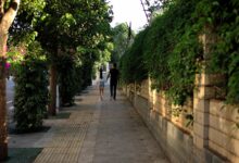 People with more nature in their neighborhoods smoke and drink less, study finds
