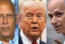 Pope Leo XIV’s MAGA Brother Gets White House Blessing From Trump