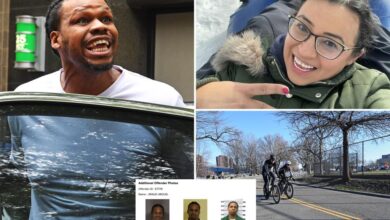 Rapist out on parole nabbed for savagely beating NYC mom unconscious