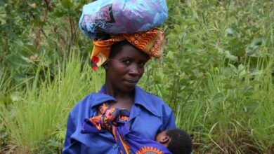 Researchers say malnutrition in infants ‘far bigger problem than previously recognized’, amid ongoing cuts