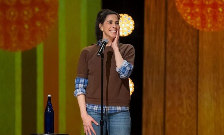 Sarah Silverman Says She Was ‘Ignorant’ For Using Slurs in Stand-Up Sarah Silverman Says She Was ‘Ignorant’ For Using Slurs in Stand-Up