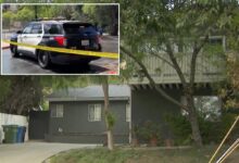Thugs charged with murdering Israeli businessman in LA home are illegal immigrants