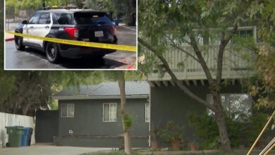 Thugs charged with murdering Israeli businessman in LA home are illegal immigrants
