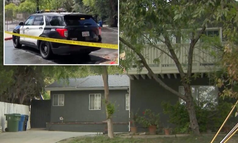 Thugs charged with murdering Israeli businessman in LA home are illegal immigrants Thugs charged with murdering Israeli businessman in LA home are illegal immigrants