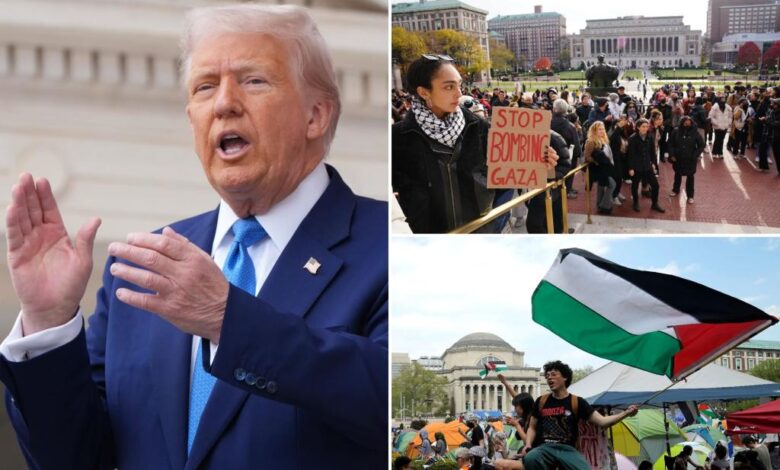 Trump admin stops all new student visa interviews Trump admin stops all new student visa interviews