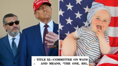 Trump’s ‘Big, Beautiful Bill’ includes ‘MAGA accounts’ proposal giving K to newborns