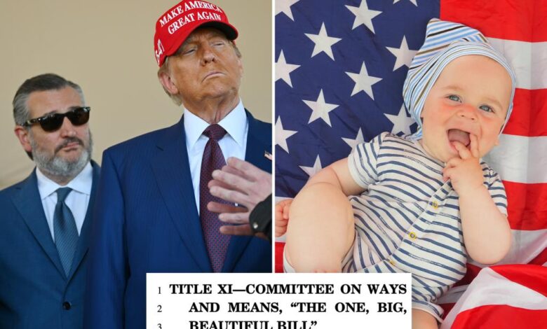Trump’s ‘Big, Beautiful Bill’ includes ‘MAGA accounts’ proposal giving K to newborns Trump’s ‘Big, Beautiful Bill’ includes ‘MAGA accounts’ proposal giving K to newborns
