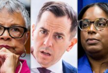 Trumps DHS Considers More Dem Arrests After ICE Facility Protest