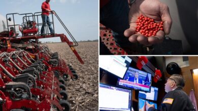 US soybean exports may fall 20% without China trade deal, AgResource says