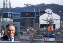 US will maintain control of key US Steel decisions even with Nippon takeover: senator