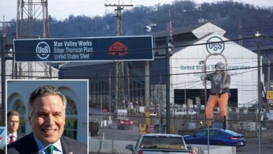 US will maintain control of key US Steel decisions even with Nippon takeover: senator