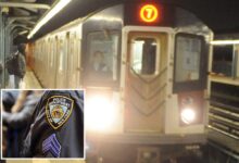 Unhinged attacker bashes NYC straphanger with butt of knife