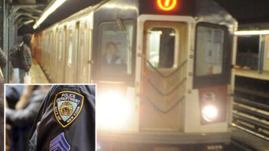 Unhinged attacker bashes NYC straphanger with butt of knife