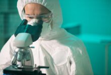 Veraxa and OmniAb to develop bispecific ADC tumour programme