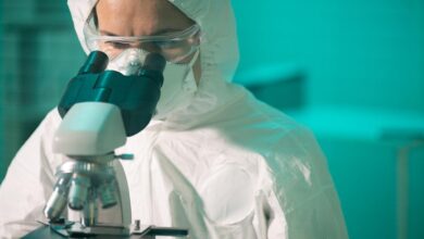 Veraxa and OmniAb to develop bispecific ADC tumour programme