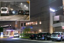 Wannabe thief stabs Long Island cop, then tries to hide: police