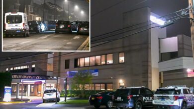 Wannabe thief stabs Long Island cop, then tries to hide: police