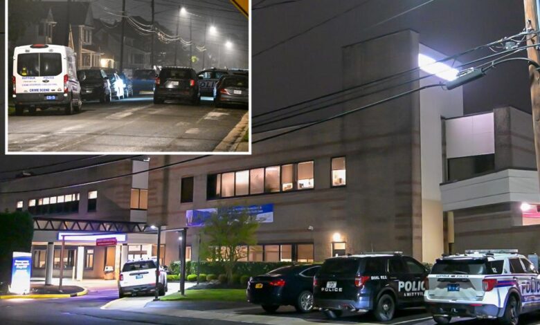 Wannabe thief stabs Long Island cop, then tries to hide: police Wannabe thief stabs Long Island cop, then tries to hide: police