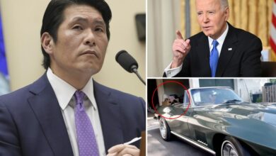 White House pressured special counsel Robert Hur that his report on Biden’s classified docs ‘should be economical’ – claimed it could threaten national security 