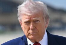 Trump pauses tariffs on European Union goods after negotiations