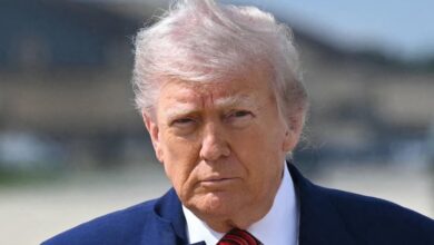Trump pauses tariffs on European Union goods after negotiations