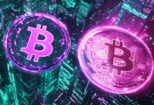 Shares of Chinese Apparel Firm in Choppy Trading After Announcing 0,000,000 Bitcoin and Crypto Investment Strategy