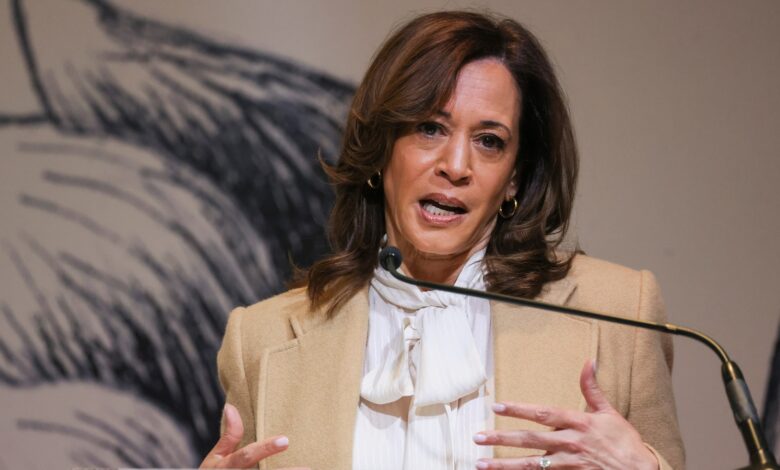 Kamala Harris steps back into limelight with speech criticizing Trump as he celebrates his first 100 days Kamala Harris steps back into limelight with speech criticizing Trump as he celebrates his first 100 days