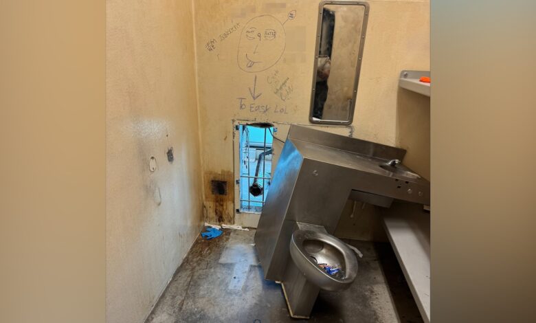 3rd woman arrested for allegedly assisting New Orleans inmate escapee still at large 3rd woman arrested for allegedly assisting New Orleans inmate escapee still at large