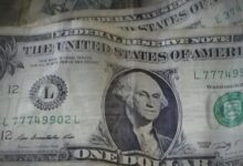 Basic universal income: Testing a weapon against economic insecurity
