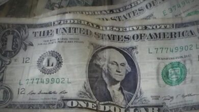 Basic universal income: Testing a weapon against economic insecurity