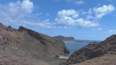 Island-Hopping: The Galápagos Islands as tourist destination