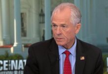 White House trade official Peter Navarro downplays consumer impact of Chinese tariffs