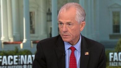 White House trade official Peter Navarro downplays consumer impact of Chinese tariffs