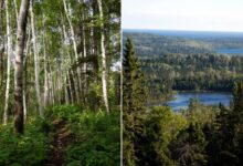 2 campers found dead on remote island in Lake Superior