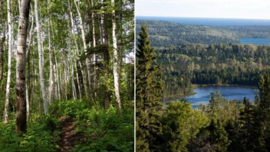 2 campers found dead on remote island in Lake Superior